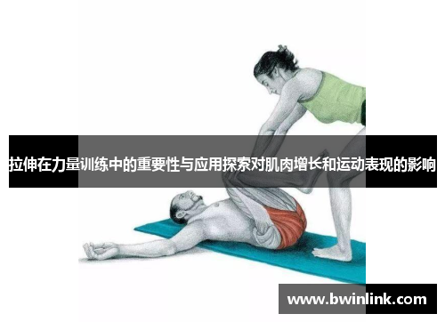 拉伸在力量训练中的重要性与应用探索对肌肉增长和运动表现的影响